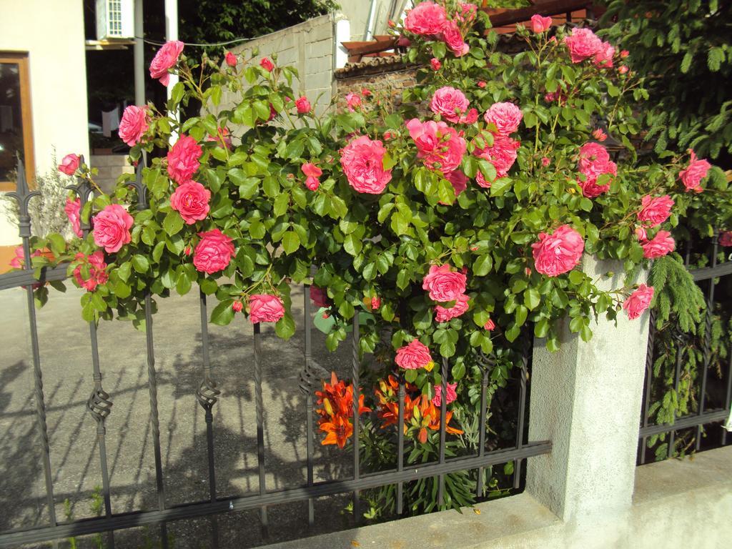 Amfora Guest House بايالا المظهر الخارجي الصورة