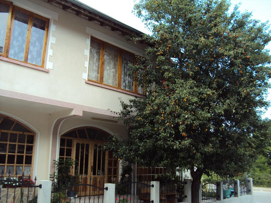 Amfora Guest House بايالا المظهر الخارجي الصورة